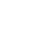 pyrostar-logo