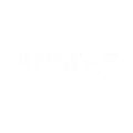 stewo-logo