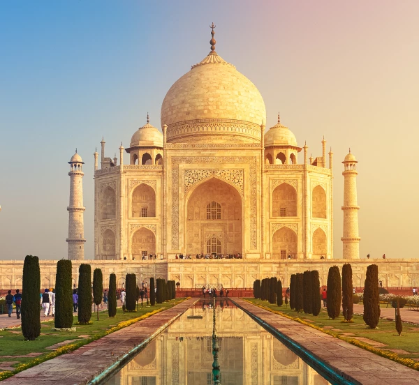 word-of-senses-referenz-online-shop